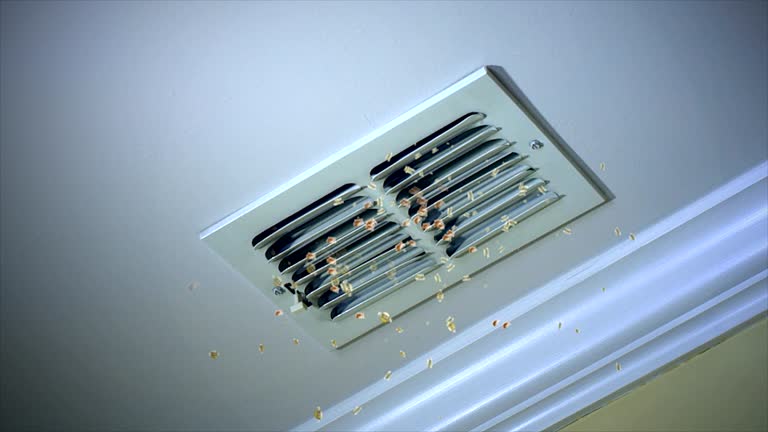 Best Air Duct Cleaning Near Me  in Pioneer, CA