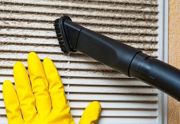 Best Air Duct Cleaning Company Near Me  in Pioneer, CA